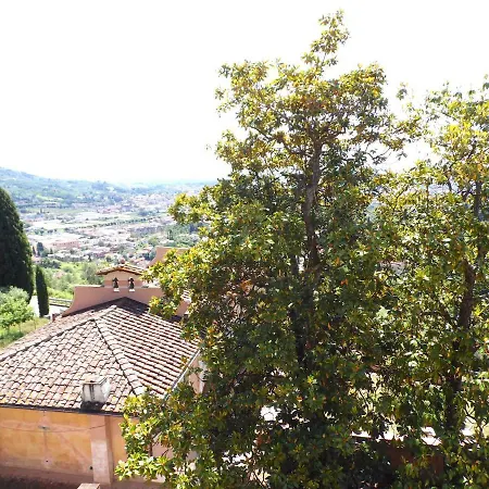 Tulipano -apartment- *